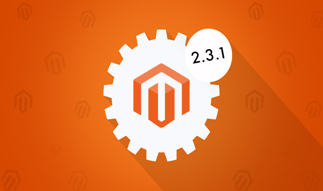 Magento 2.3.1